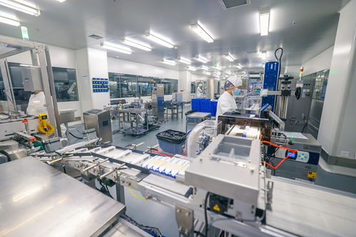 長春新區(qū)向“新”求“質(zhì)”推動(dòng)民營經(jīng)濟(jì)發(fā)展壯大，商業(yè)綜合體管理服務(wù)再升級